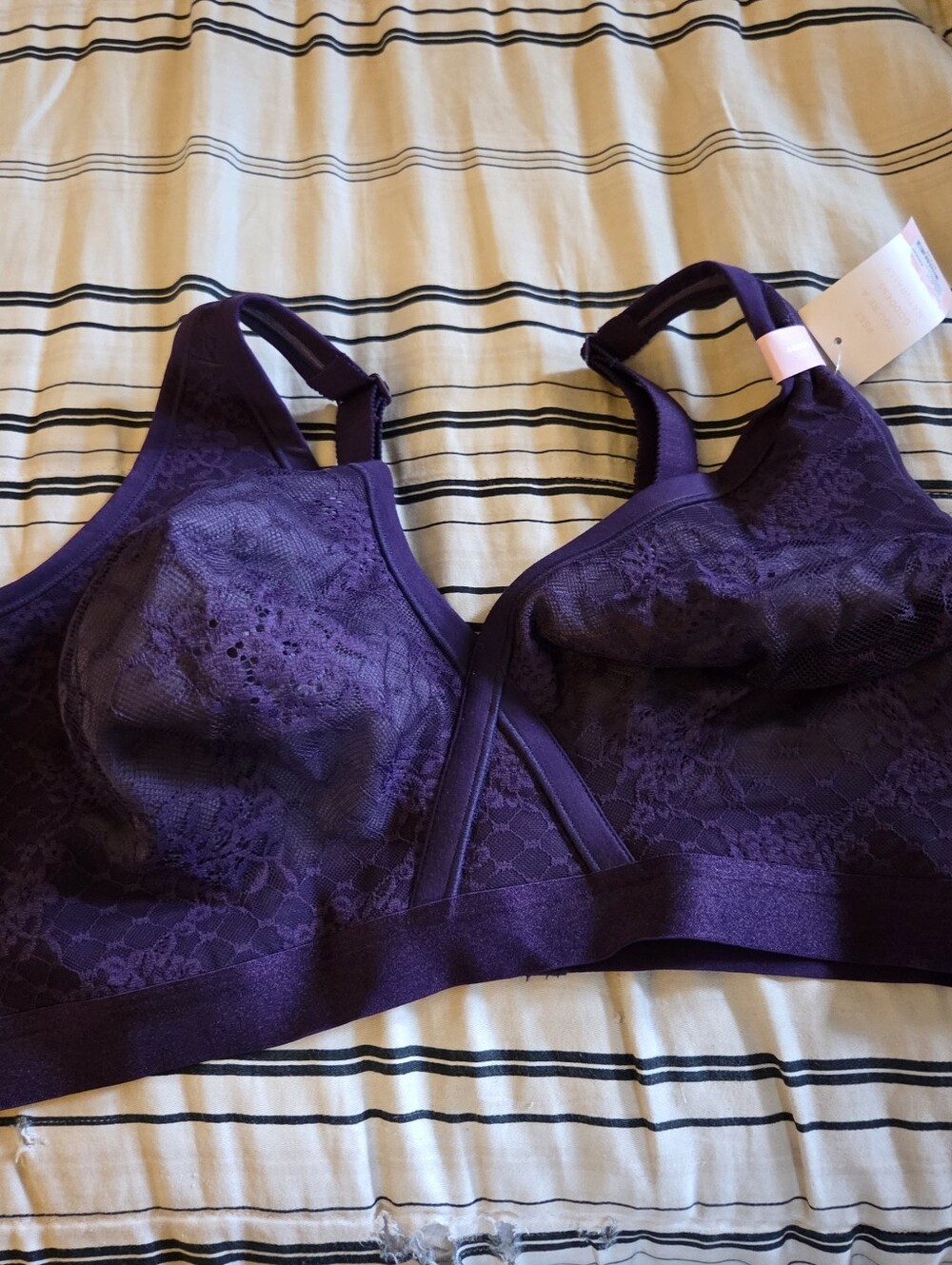 Cacique Lace Bralette in Deep Purple